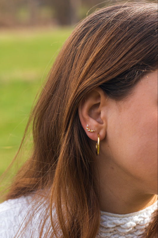 Pendientes piercing rama