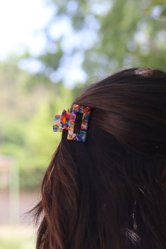 Pinza cabello multicolor