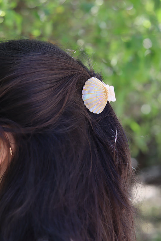 Pinza cabello concha